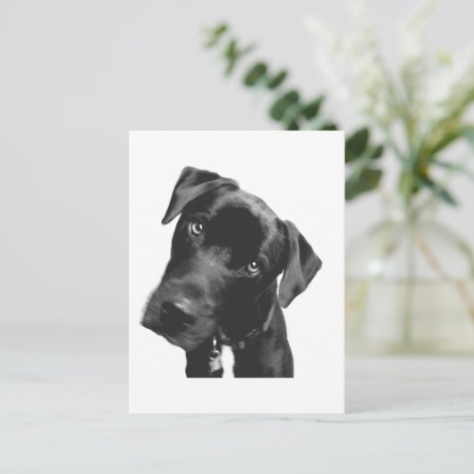 Carte Postale Quoi ? (Debout devant)