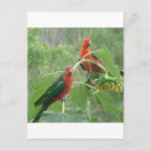 Carte Postale Quoi ? (Devant)