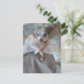 Carte Postale Quoi ? (Debout devant)