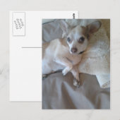 Carte Postale Quoi ? (Devant / Derrière)