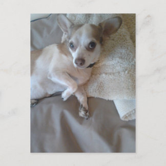 Carte Postale Quoi ?