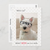 Carte Postale Quoi de neuf, ne t'a pas vu, Chien portant des lun (Devant / Derrière)