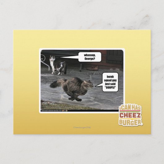 Carte Postale quoi, George ? (Devant)