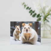 Carte Postale Quokka australien de neige en Snokka (Debout devant)