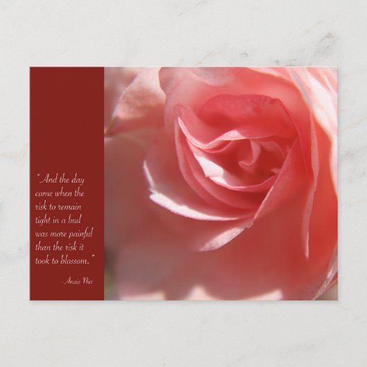 Carte postale Quote Anais Nin en rose (Devant)