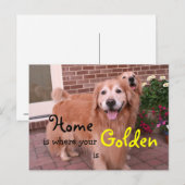 Carte Postale Quote de maison Golden Retriever (Devant / Derrière)