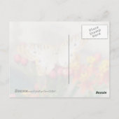 Carte postale Quote de paon blanc (Dos)