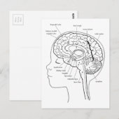Carte Postale Qu'y a-t-il dans votre cerveau (Devant / Derrière)