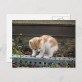 Carte Postale "Qu'y a-t-il là-bas ?" (Devant / Derrière)