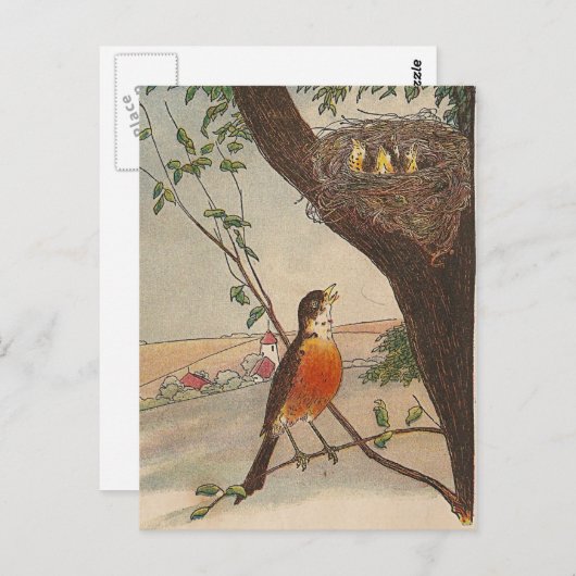 Carte Postale R est pour Robin (Devant / Derrière)