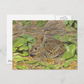 Carte postale Rabbit (Devant / Derrière)