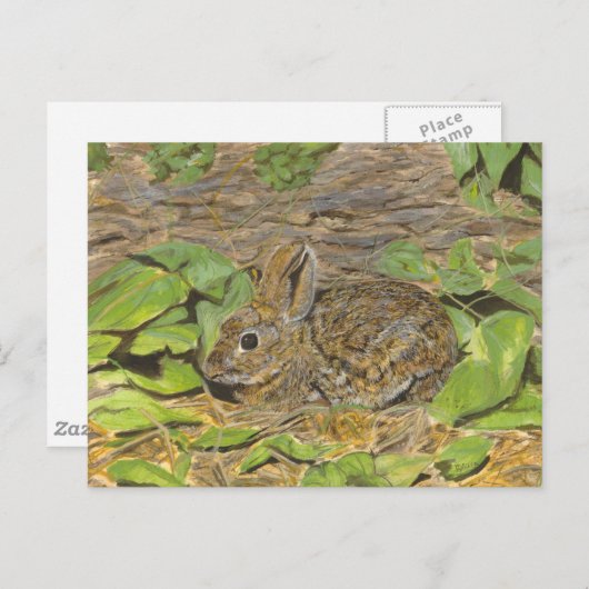 Carte postale Rabbit (Devant / Derrière)