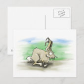 Carte postale Rabbit (Devant / Derrière)