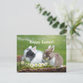 Carte postale Rabbit 8 Pâques (Debout devant)