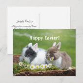 Carte postale Rabbit 8 Pâques (Devant / Derrière)
