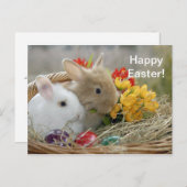Carte postale Rabbit 9 Pâques (Devant / Derrière)
