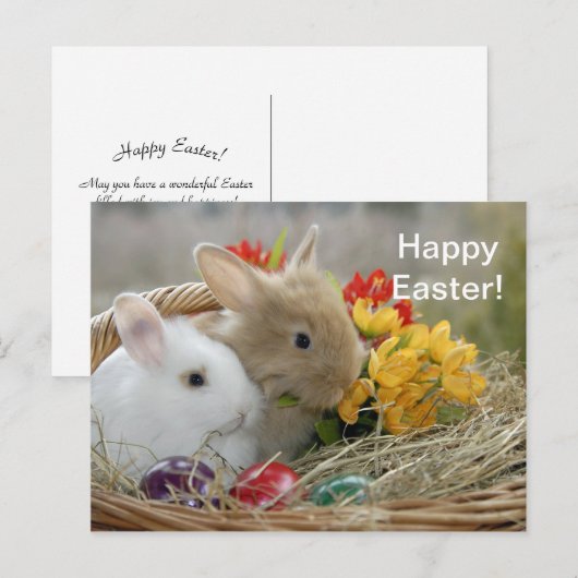 Carte postale Rabbit 9 Pâques (Devant / Derrière)