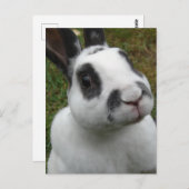Carte postale Rabbit adorable (Devant / Derrière)