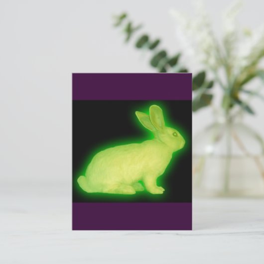 CARTE POSTALE RABBIT DE RADIATION (Debout devant)