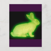 CARTE POSTALE RABBIT DE RADIATION (Devant)