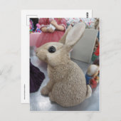 Carte Postale Rabbit décoratif (Devant / Derrière)