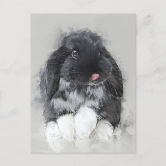 Carte postale Rabbit No.32
