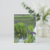 Carte Postale Rabbitear Iris (Debout devant)
