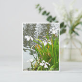 Carte Postale Rabbitear Iris (Debout devant)