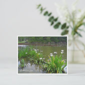 Carte Postale Rabbitear Iris (Debout devant)