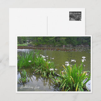 Carte Postale Rabbitear Iris