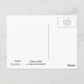 Carte Postale Raccoon (Dos)