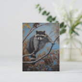 Carte Postale Raccoon (Debout devant)