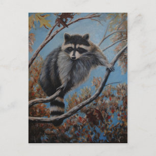 Carte Postale Raccoon