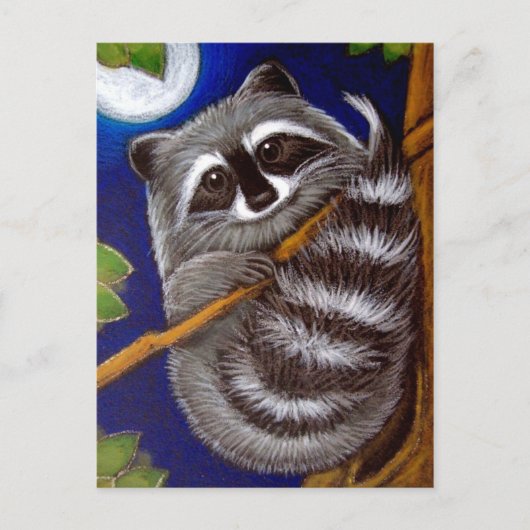 Carte postale RACCOON (Devant)