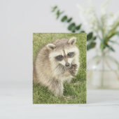 Carte Postale Raccoon (Debout devant)