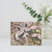 Carte postale Raccoon (Debout devant)