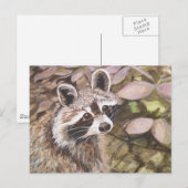 Carte postale Raccoon (Devant / Derrière)