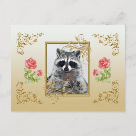 Carte postale Raccoon (Devant)