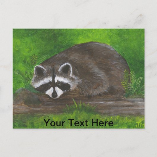 Carte Postale Raccoon (Devant)