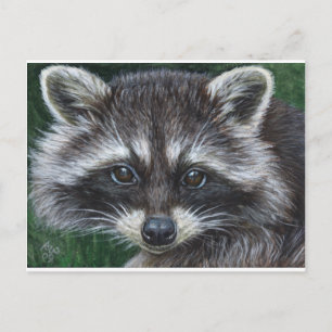 Carte Postale Raccoon #3