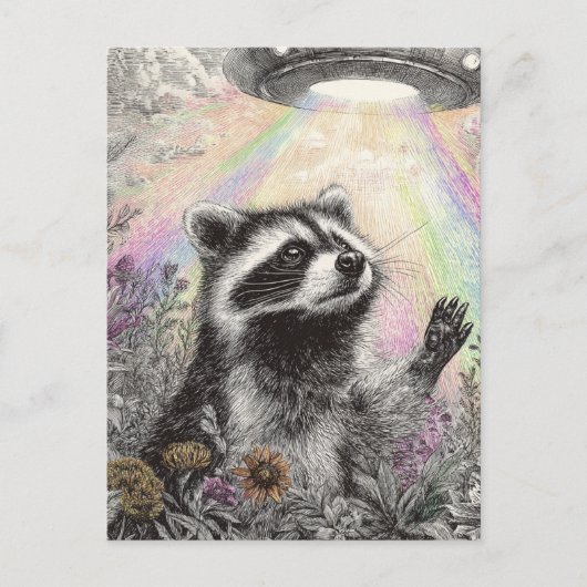 Carte Postale Raccoon and a UFO (Devant)