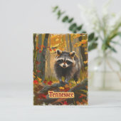 Carte Postale Raccoon du Tennessee (Debout devant)