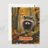 Carte Postale Raccoon du Tennessee (Devant / Derrière)