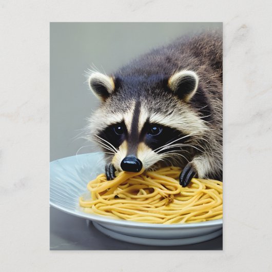 Carte Postale Raccoon mangeant Spaghetti (Devant)