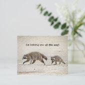 Carte Postale Raccoon mère et bébé (Debout devant)