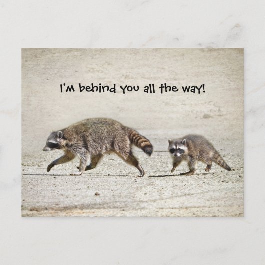 Carte Postale Raccoon mère et bébé (Devant)