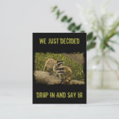 Carte Postale Raccoons (Debout devant)