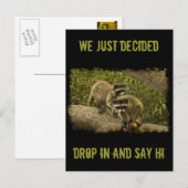 Carte Postale Raccoons (Devant / Derrière)