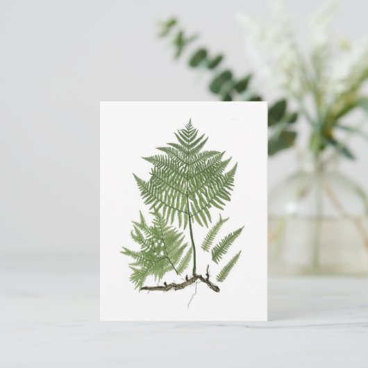 Carte Postale Raccord (Debout devant)