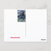 Carte Postale Race de chien Shepadoodle heureuse et idiote (Dos)